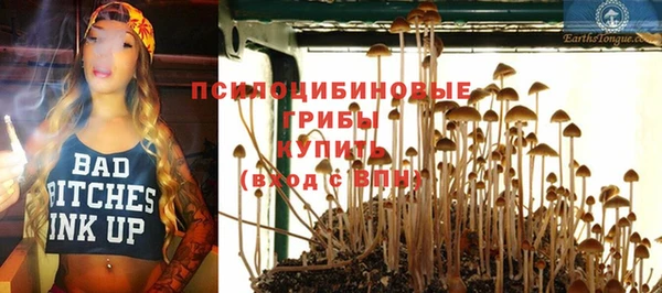 прущий лед Аркадак